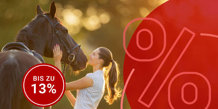 pferd mit reiter im sommer weide 1000x500
